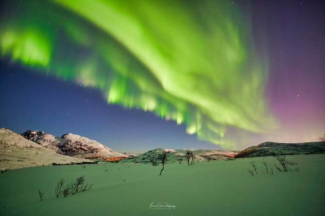 Minivan Northern Lights excursion (8 guests per minivan) - Guides Make or Break the Night