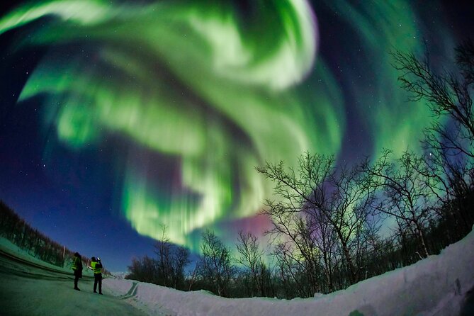 Minivan Northern Lights excursion (8 guests per minivan) - Is $204.51 a Fair Price?