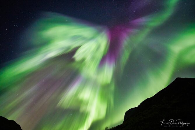 Minivan Northern Lights excursion (8 guests per minivan) - Warm Gear Helps, But Check It First