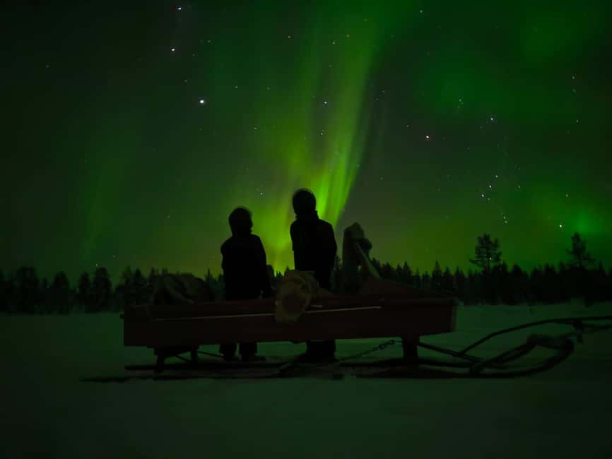 Muotkantunturi Park, Inari - Intense Northern Lights on a Lappish Sleigh - Why this sleigh ride feels different from a standard aurora hunt