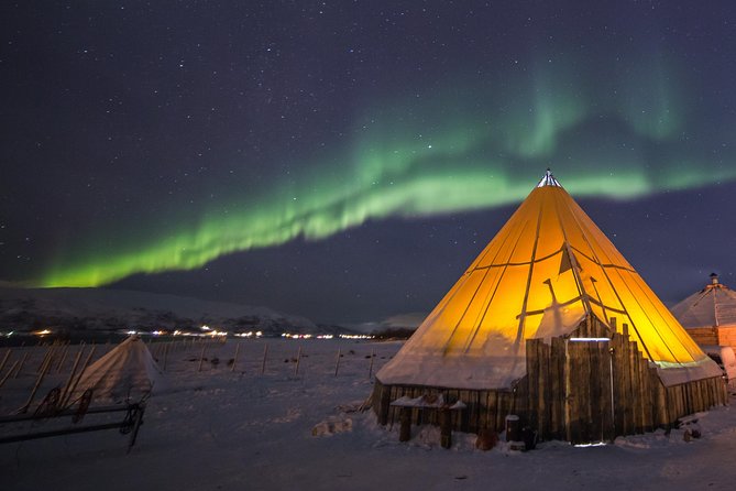 Night Reindeer Sledding with Camp Dinner and Chance of Northern Lights - Feeding the reindeer among a herd of 300