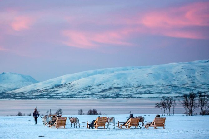 Night Reindeer Sledding with Camp Dinner and Chance of Northern Lights - Warm clothing and practical comfort