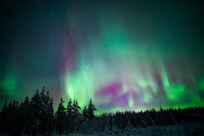 Night Snowshoeing Adventure under the Northern Lights - Warming up beside a Finnish fire
