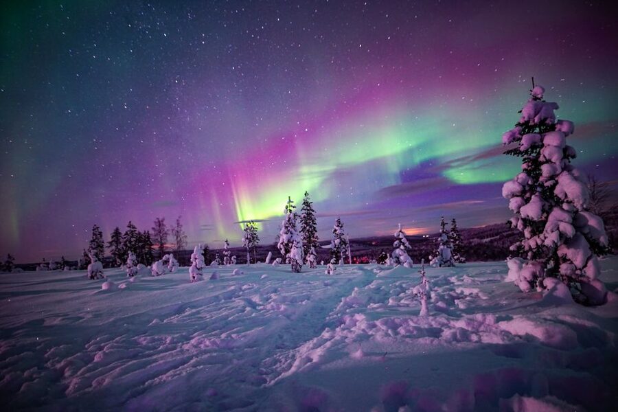 Night Snowshoeing Adventure under the Northern Lights - Should you book the Rovaniemi night snowshoeing adventure?