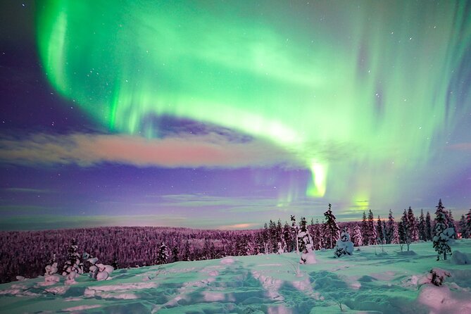 Night Snowshoeing Adventure under the Northern Lights - Choosing a route through the Arctic forest