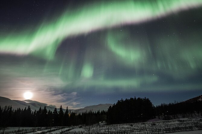Northern Lights 4x4 Tour from Akureyri - Key points at a glance