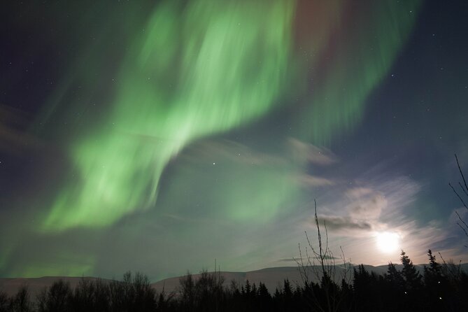 Northern Lights 4x4 Tour from Akureyri - Who will enjoy this Northern Lights hunt?