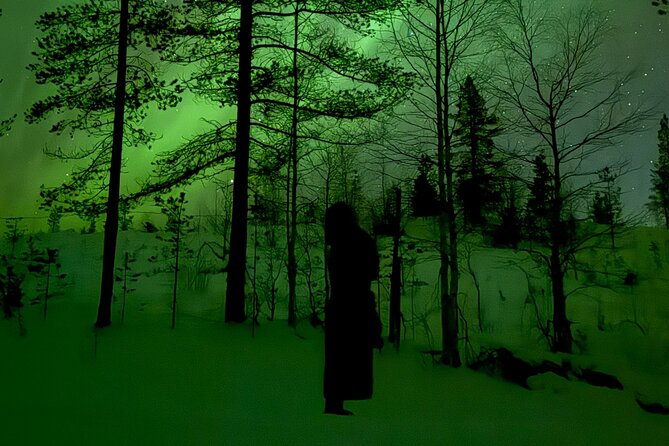 Northern Lights Adventure in the Wild with Campfire Treats - Leaving Levi for the dark north