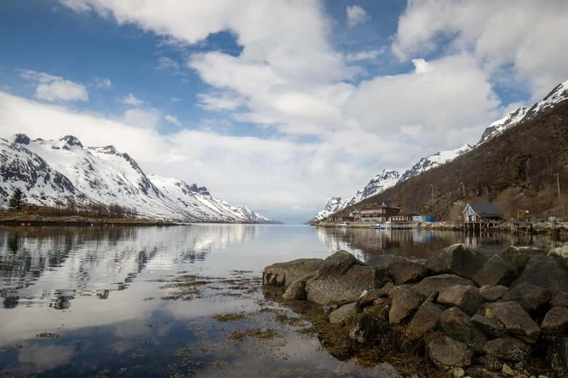 Northern Lights Adventure in Tromsø with Free Photos - Why this Tromsø aurora chase works