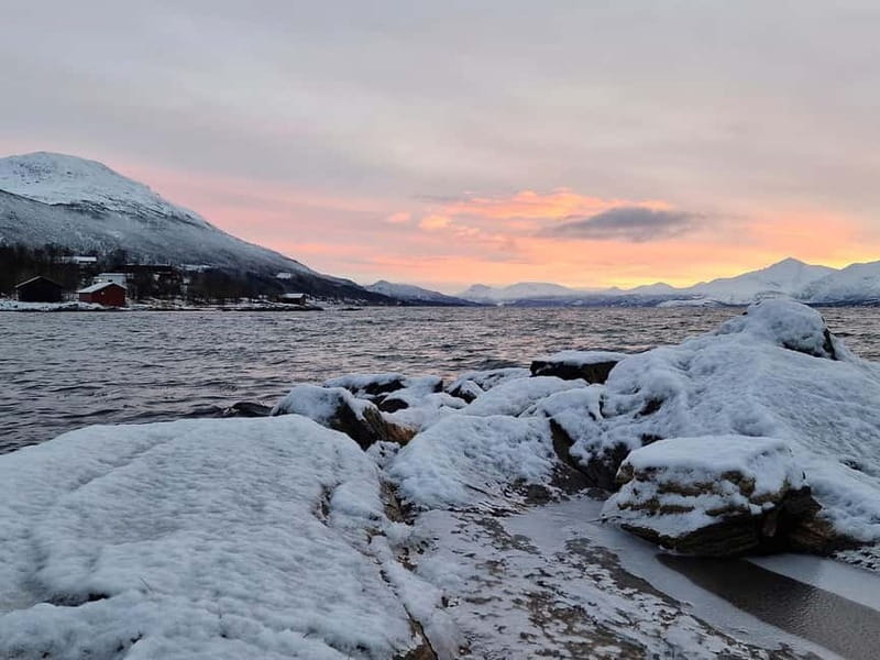 Northern Lights Adventure in Tromsø with Free Photos - The price and the real value