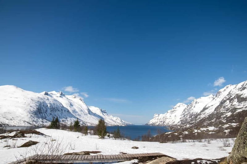 Northern Lights Adventure in Tromsø with Free Photos - Who should book this six-hour tour?