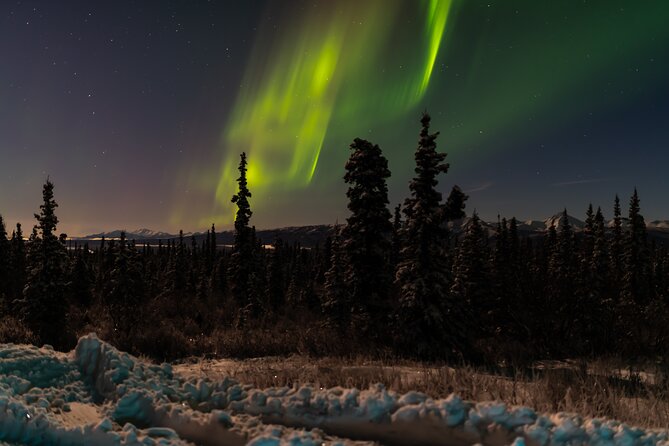 Northern Lights Adventure of a Liftetime from Anchorage - A long night built around the aurora