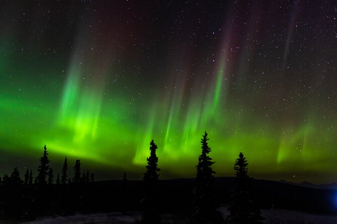 Northern Lights Adventure of a Liftetime from Anchorage - Forecast rules give you a useful safety net