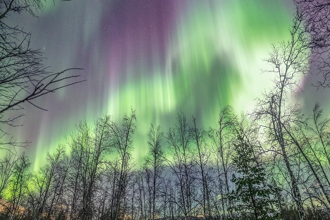 Northern Lights Adventure with Greenlander, 8 people max - Why the small group matters in Tromsø