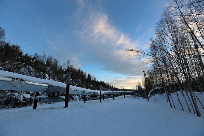 Northern Lights and Arctic Circle Trip from Fairbanks - Extra stops can improve the long ride