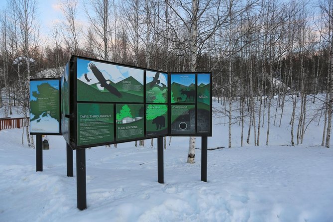 Northern Lights and Arctic Circle Trip from Fairbanks - The northern lights are a bonus, not a promise