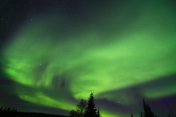 Northern Lights and Arctic Circle Trip from Fairbanks - The Dalton Highway is part of the price