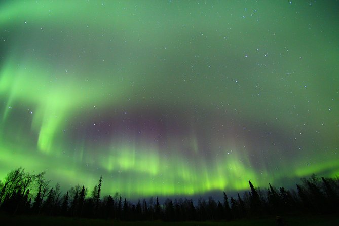 Northern Lights and Arctic Circle Trip from Fairbanks - Food, drinks, clothing, and seating