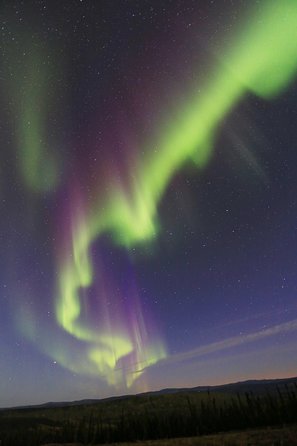Northern Lights and Chena Hot Springs Night Tour from Fairbanks - The hot springs: wonderful water, mixed facilities
