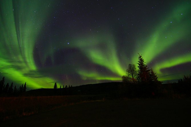 Northern Lights and Chena Hot Springs Night Tour from Fairbanks - Is $240 a fair price?