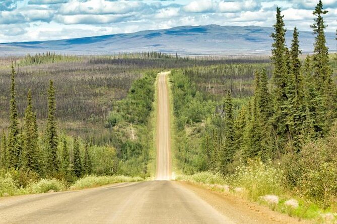 Northern Lights & Arctic Circle Tour - Key things to know before you book