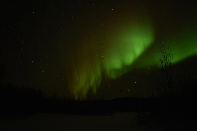 Northern Lights & Arctic Circle Tour - The Arctic Circle sign is the bucket-list moment
