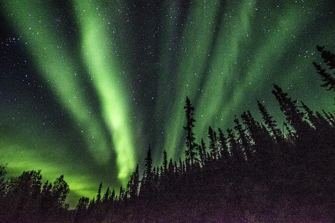 Northern Lights & Arctic Circle Tour - The return journey becomes an aurora search