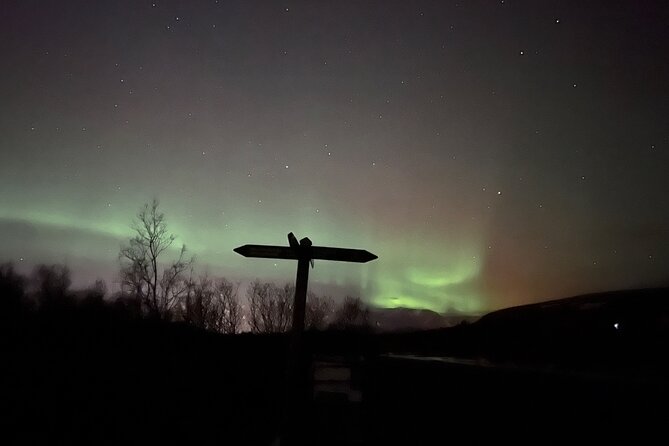 Northern Lights ATV Quad Adventure from Reykjavik - Cold-weather planning for a three-hour evening