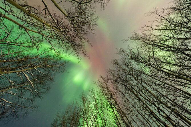 Northern Lights Aurora Chasing Adventure Tour & Free Photography - Hot drinks, snacks, and five hours of patience