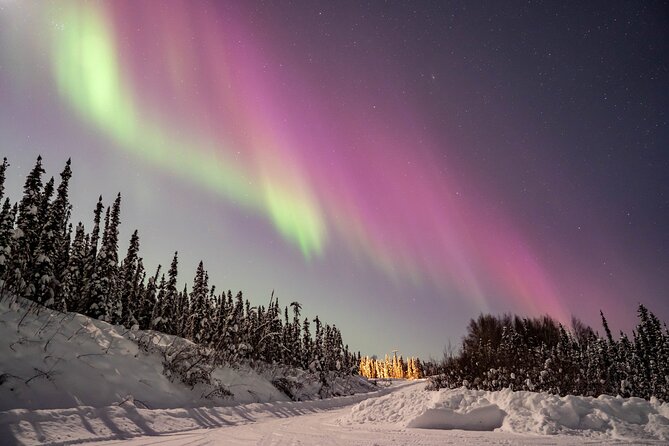 Northern Lights Aurora Chasing Adventure Tour & Free Photography - What the experience is worth