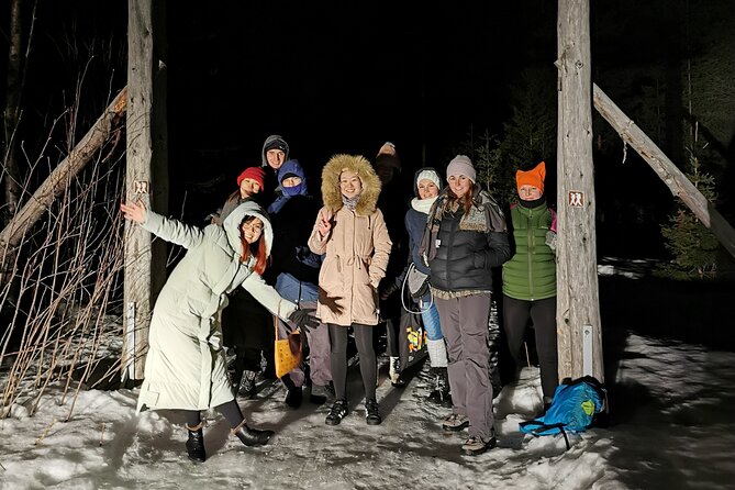 Northern Lights Auroras from Kemi-Tornio with Pickup - At the Aurora viewing spots
