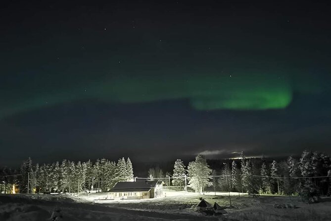 Northern Lights Auroras from Kemi-Tornio with Pickup - Who should book this experience