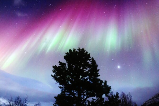 Northern Lights Big Bus Chase with Free Photos - Key points before you book