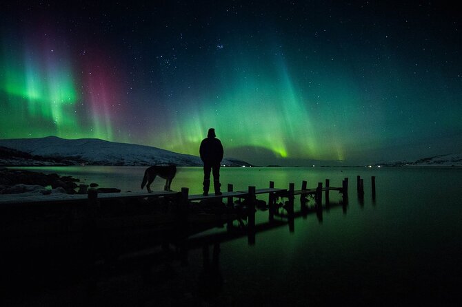 Northern Lights Big Bus Chase with Free Photos - Who should choose this bus chase?