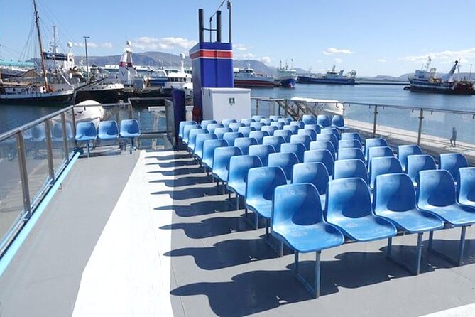 Northern Lights Boat Cruise from Reykjavik - Faxaflói Bay gives the aurora room to appear