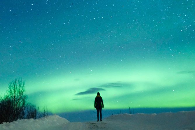 Northern Lights Bus Tour from Reykjavik with Hot Chocolate - The large-bus tradeoff