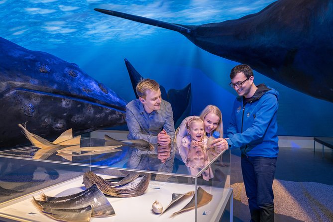 Northern Lights by Boat with a Backup Plan from Reykjavik - Who will enjoy this boat tour most?
