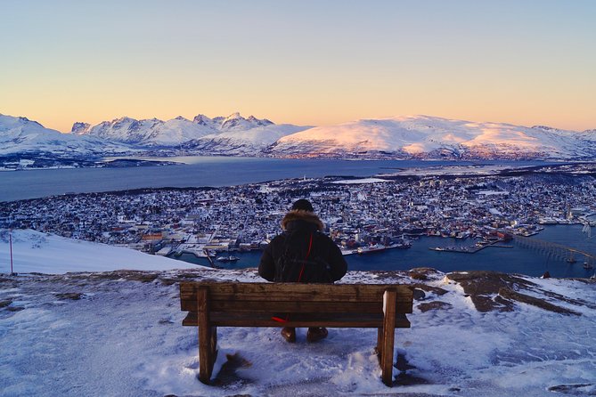 Northern lights cable car excursion - Is $191.57 a fair price?