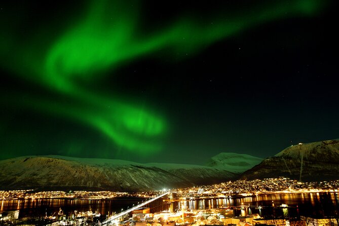 Northern Lights Chase by Bus in Tromso - Key points before you book