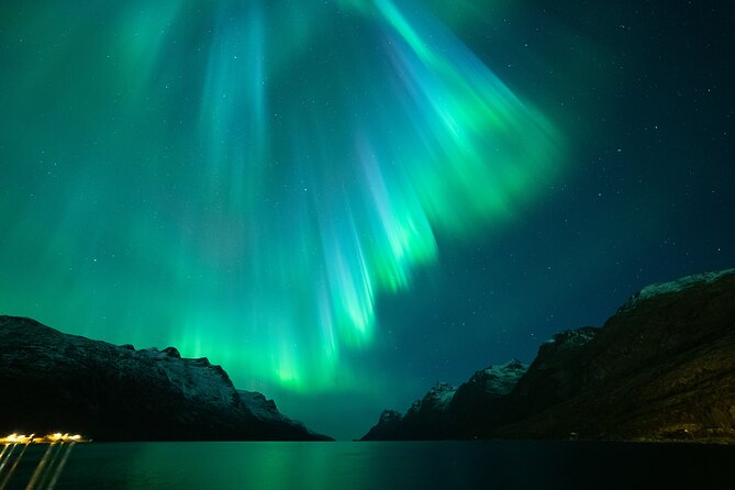 Northern Lights Chase by Bus in Tromso - Meeting in central Tromsø at 6 p.m.