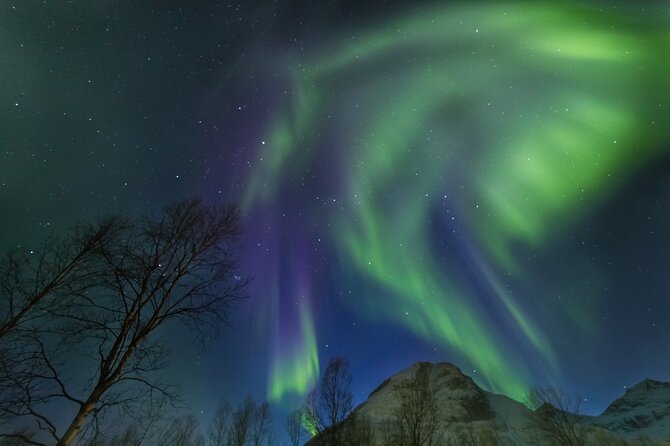 Northern Lights Chase by Bus in Tromso - Guides, explanations, and the group experience