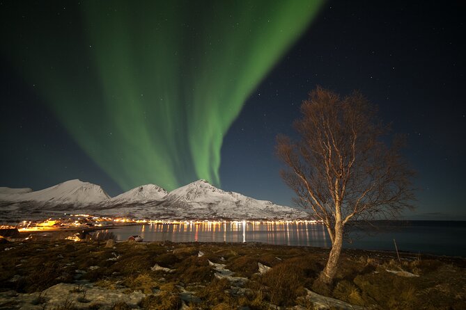 Northern Lights Chase by Bus in Tromso - Waiting outdoors without a campfire