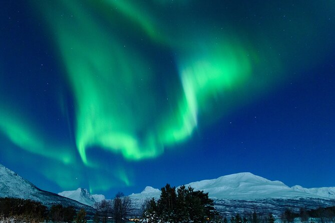 Northern Lights Chase by Bus in Tromso - What the bus format does well