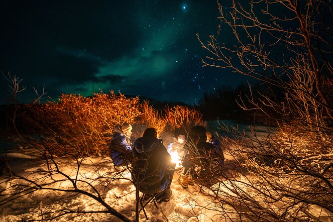 Northern Lights Chase - Small group experience - Booking, cancellation, and the practical decision