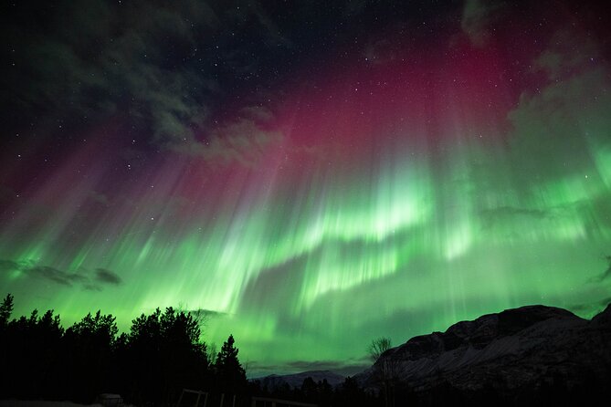 Northern Lights Chase with Authentic North Norwegian Charm - Taking aurora photos without a professional camera