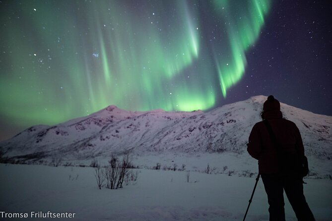 Northern Lights Chase with Authentic North Norwegian Charm - Who will enjoy this seven-hour outing?