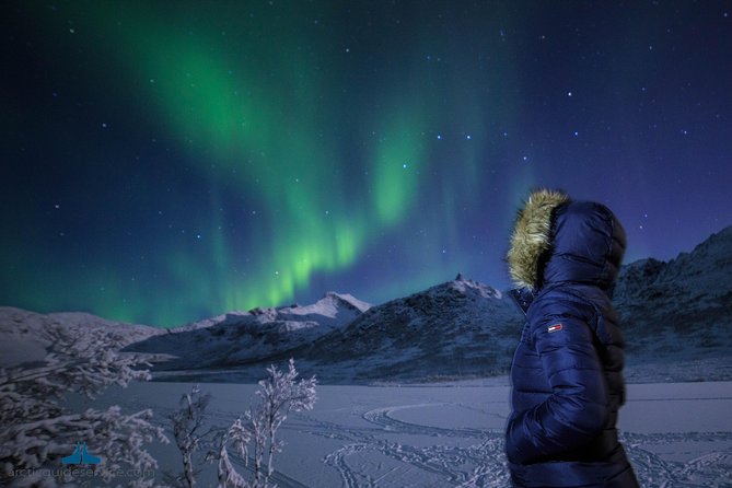 - Northern Lights Chase with Photo Package Included - Meeting at Tromsø Havn and finding the right bus