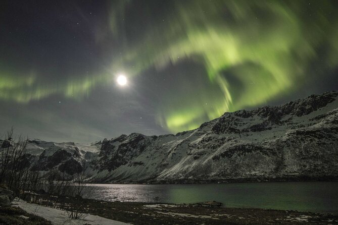 Northern Lights Chase with Photography from Tromsø - Big coach or smaller group?