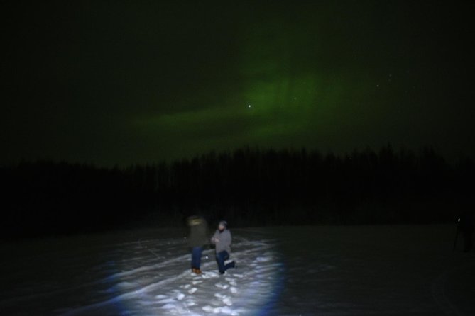Northern Lights & Chena Hot Springs Tour - Key points to know before you go