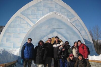 Northern Lights & Chena Hot Springs Tour